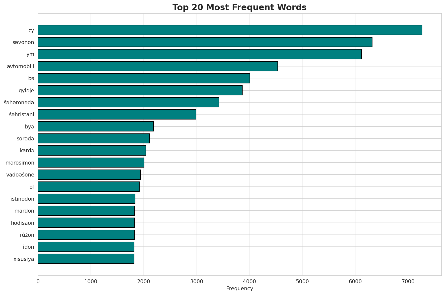Top Words